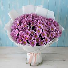 Букет цветов из:  Хризантемы #REPLACE_PRED# Нагорное