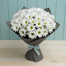 Букет цветов из:  Хризантемы #REPLACE_PRED# Нагорное