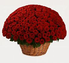 Премиум букет из: Розы #REPLACE_PRED# Нагорное